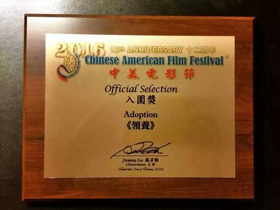 《领养》荣获2016年中美电影节“优秀中国电视剧金天使奖”