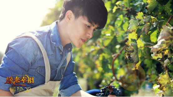 《欢乐颂2》植入上新，君顶反向“承包”电视剧